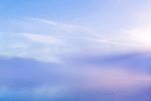 USA, Washington, Seabeck. Foggy sunrise over Hood Canal