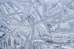 Images Dated 12th January 2007: USA, Washington, Seabeck. Patterns on ice. Credit as: Don Paulson / Jaynes Gallery / DanitaDelimont