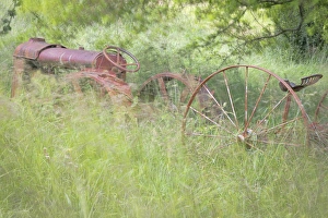 Images Dated 17th June 2012: USA, Washington, Seabeck. Rusty old tractor in grasses waving in breeze. Credit as
