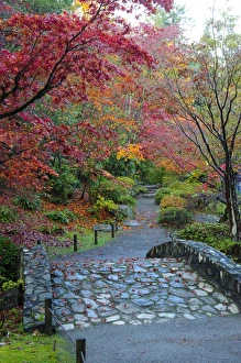 Images Dated 27th October 2009: USA, Washington, Seattle, Arboretum, Japanese Garden