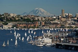 Lake Union Prints: USA, Washington, Seattle. Cityscape with Lake Union, sailboats and Mt. Rainier