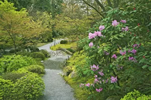 USA, Washington, Seattle. Japanese Garden at the Washington Park Aboretum. Credit as
