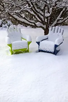 Images Dated 22nd December 2008: USA, Washington, Seattle, Snow Covered Adirondack Chairs