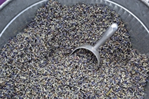 Images Dated 17th July 2009: USA, Washington, Sequim, Lavender Festival, Street Fair display; Lavender seeds