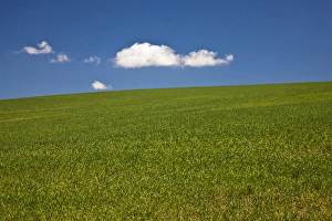 Images Dated 9th June 2009: USA, Washington, Spring in Palouse Country Washington