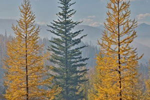 Images Dated 16th September 2024: USA, Washington State
