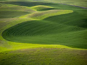 Images Dated 10th June 2015: USA, Washington State. Aerial of Palouse Region