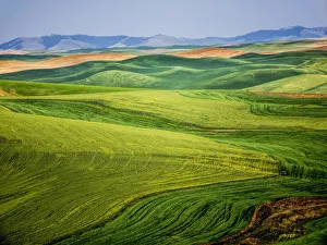 Palouse Prints: USA, Washington State. Aerial of Palouse Region