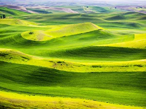 Images Dated 10th June 2015: USA, Washington State. Aerial of Palouse Region