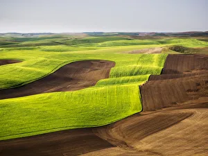 Images Dated 10th June 2015: USA, Washington State. Aerial of Palouse Region