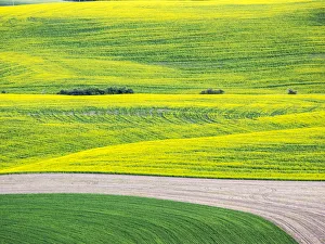 Images Dated 10th June 2015: USA, Washington State. Aerial of Palouse Region