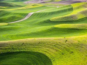 Images Dated 10th June 2015: USA, Washington State. Aerial of Palouse Region