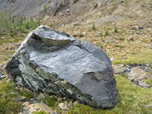 Images Dated 26th July 2019: USA, Washington State. Alpine Lakes Wilderness, Stuart Range, Chiwaukum Schist boulder