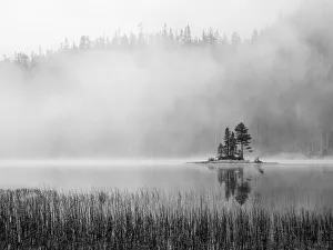Images Dated 24th July 2019: USA, Washington State. Alpine Lakes Wilderness, Snow Lake, island and fog