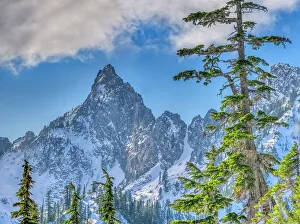 Images Dated 27th January 2023: USA, Washington State, Alpine Lakes Wilderness. Kaleetan Peak and alpine fir trees