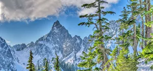 USA, Washington State, Alpine Lakes Wilderness. Panorama view of Kaleetan Peak and alpine fir trees