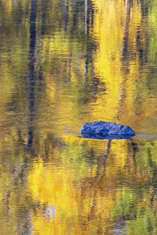 Images Dated 16th September 2024: USA, Washington State. Autumn colors along the Methow River near Winthrop