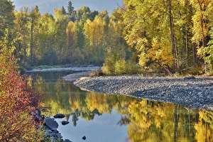 Images Dated 16th September 2024: USA, Washington State. Autumn colors along the Methow River near Winthrop