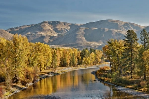 Images Dated 16th September 2024: USA, Washington State. Autumn colors along the Methow River near Winthrop