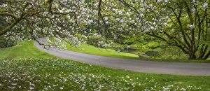 Landscape Prints: USA, Washington State, Bainbridge Island