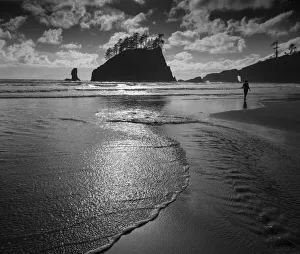 Relaxation Prints: Usa, Washington State. A beachgoer strolling Second Beach in late afternoon