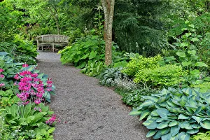 Gravel Prints: USA, Washington State, Bellevue. Bellevue Botanical Garden, gravel path in garden