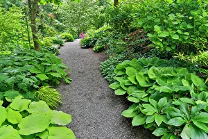Gravel Prints: USA, Washington State, Bellevue. Bellevue Botanical Garden, gravel path in garden