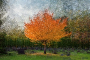 Cemetery Prints: USA, Washington State, Bellingham