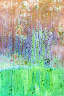 Weathered Prints: USA, Washington State, Camp Hayden