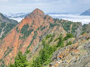 USA, Washington State. Central Cascades, Red Mountain and alpine fir trees