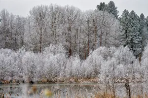 Images Dated 21st July 2022: USA, Washington State, Cle Elum, Kittitas County. Winter along the Yakima River