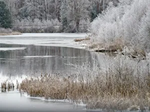 Images Dated 21st July 2022: USA, Washington State, Cle Elum, Kittitas County. Winter along the Yakima River