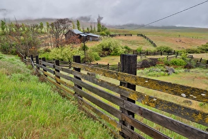 Images Dated 7th September 2024: USA, Washington State. Columbia Hills State Park with barn and fence line