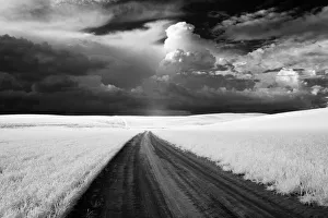 Images Dated 12th August 2021: USA, Washington State, Country backroad