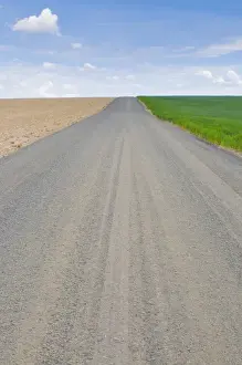 USA, Washington State. Empty country road with wheat growing on one side and bare
