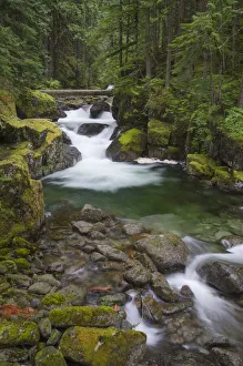 Images Dated 17th July 2019: USA, Washington State. Deception Creek, Alpine Lakes Wilderness