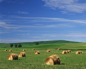 Images Dated 11th February 2013: USA, Washington State, Eastern Washington, Palouse, Hay bales in Palouse farm country
