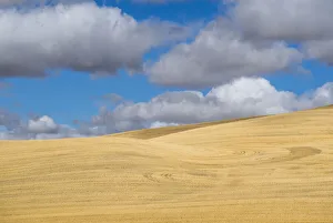 USA, Washington State, Eastern Washington, Palouse