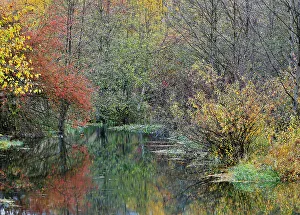 Images Dated 18th November 2022: USA, Washington State, Easton and Washington Cascades water way off of Yakima River in Fall Color