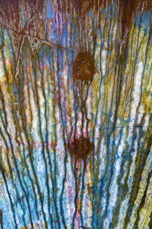 USA, Washington State, Elbe. Metal streaked by rain