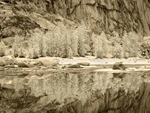Images Dated 11th February 2020: USA, Washington State. Enchantment lakes, snow on larch trees reflected in Gnome Tarn