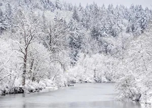 USA, Washington State, Fall City and the Snoqualmie river with winter fresh snow fall