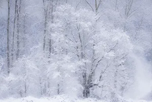USA, Washington State, Fall City valley with fresh snows on Cottonwoods