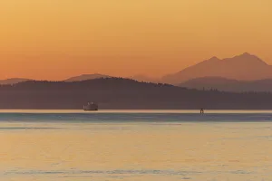 Ferry Prints: USA, Washington State, Ferry in evening light. Calm Puget Sound