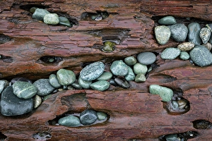 Pebble Prints: USA, Washington State, Fort Flagler State Park