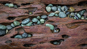 Pebble Prints: USA, Washington State, Fort Flagler State Park