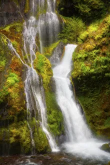 Images Dated 1st October 2021: USA, Washington State, Gifford Pinchot National Forest