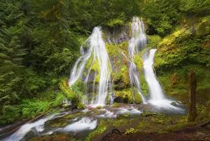 Images Dated 1st October 2021: USA, Washington State, Gifford Pinchot National Forest