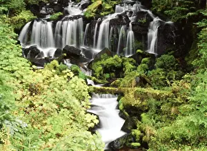 Images Dated 21st February 2013: USA, Washington State, Gifort Pinchot National Forest, Mt. Adams and Twin falls