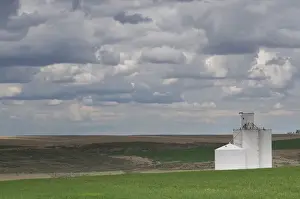 Images Dated 25th May 2008: USA, Washington State. Grain elevator and wheat fields